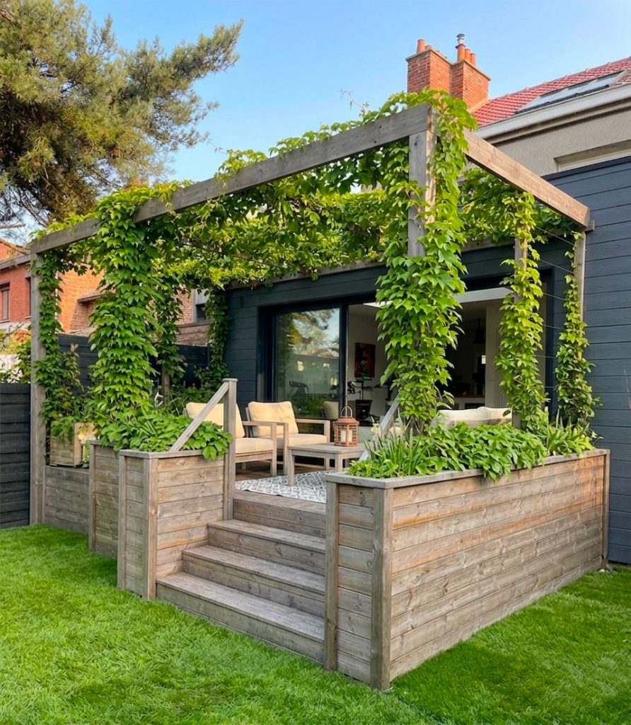 pergola treillis plante grimpantes wambrechies